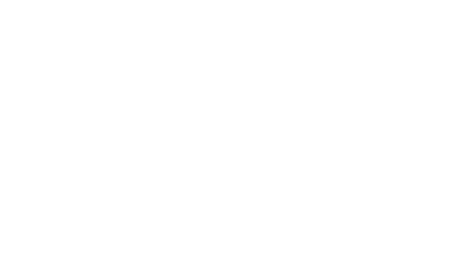 American_Industrial_Partners_Logo